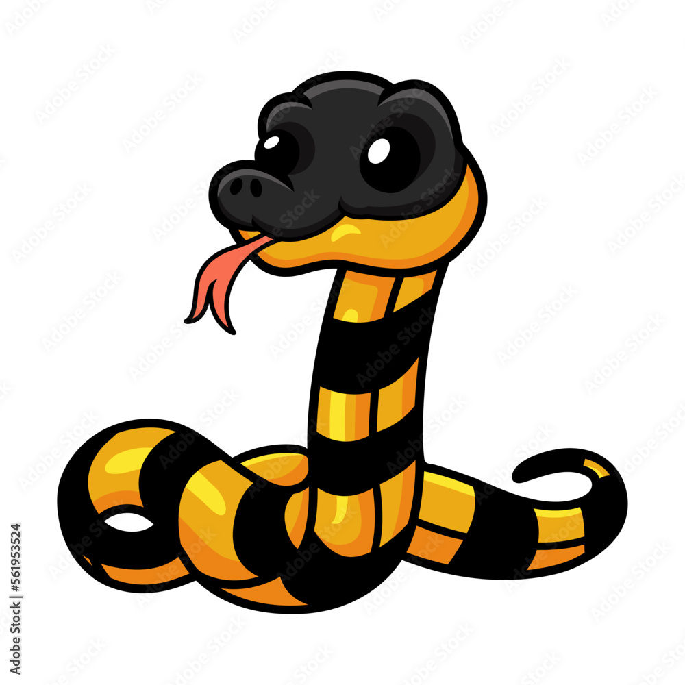 Fototapeta premium Cute banded krait bungarus candidus cartoon