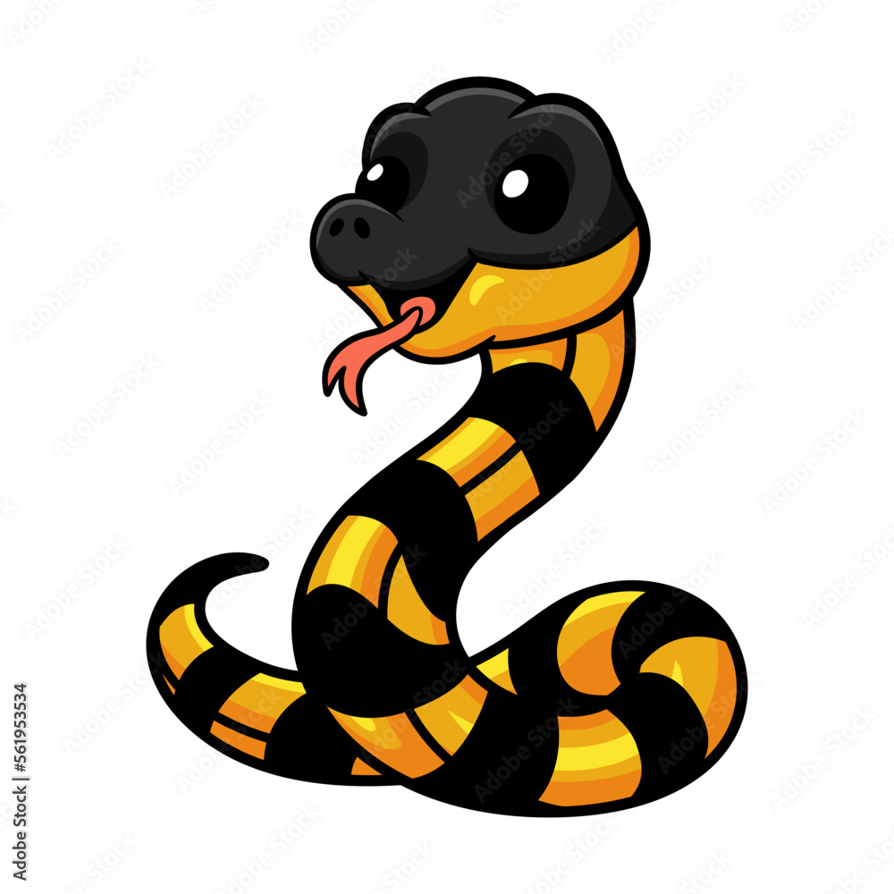 Fototapeta premium Cute banded krait bungarus candidus cartoon