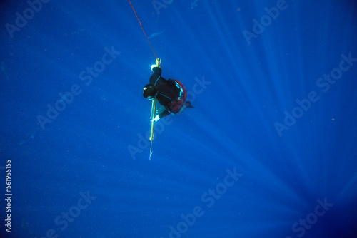 Man Spearfishes while freediving in the Gulf Stream off NC