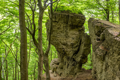 Bizarre limestone rock formation on the Ith ridge near Holzen, surrounded by a green beech forest, right along the 