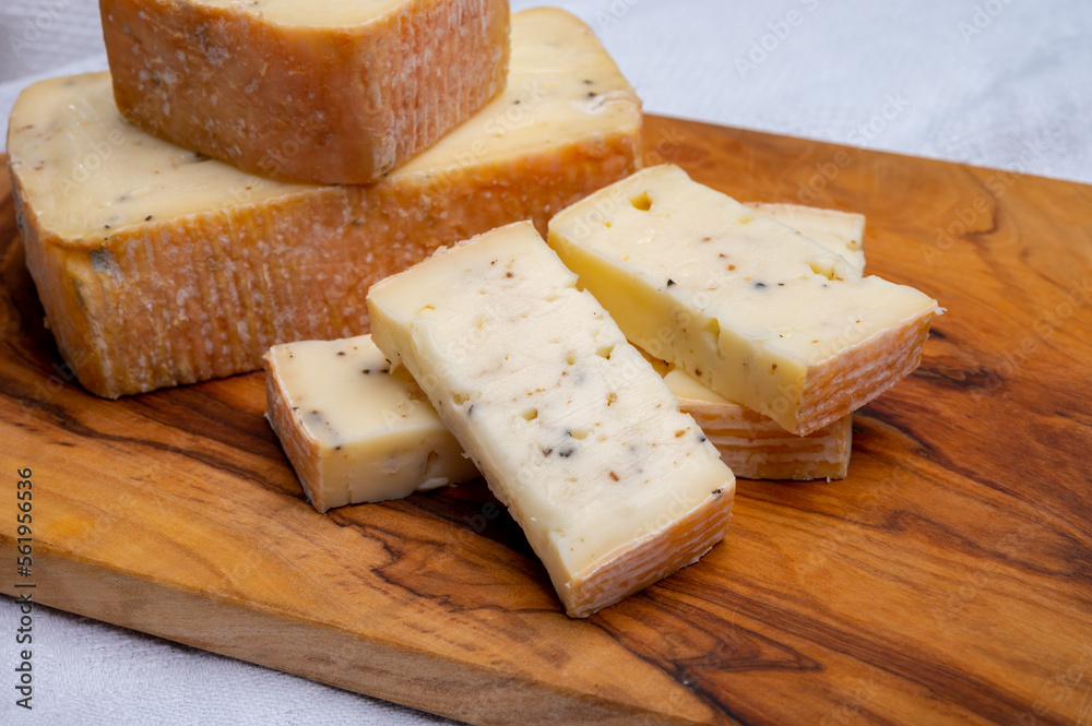 Italian cheese collection, yellow taleggio cheese with black truffles mushrooms