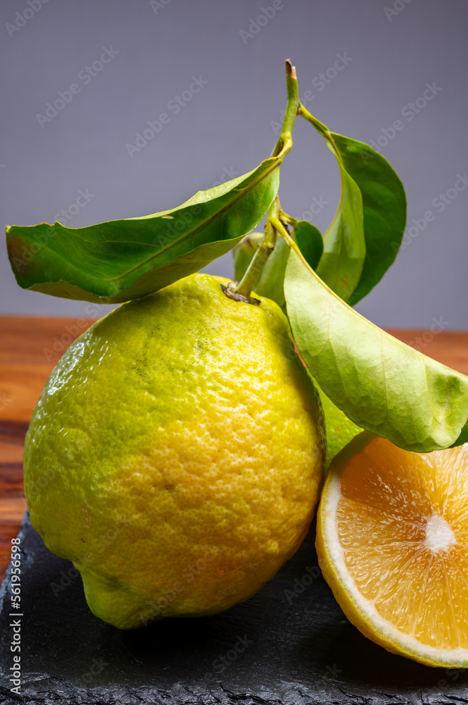 Lemon citron cedrate or Citrus medica, large fragrant citrus fruit with