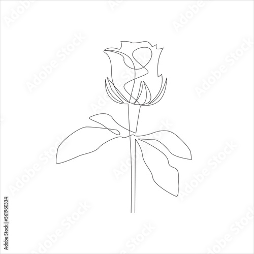 One line rose flower black and white