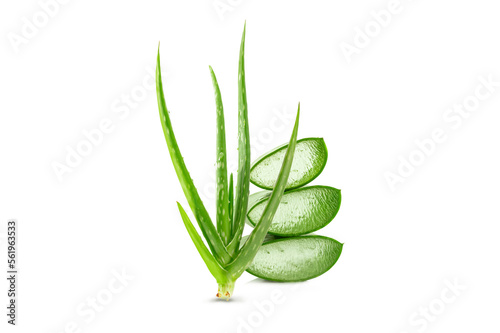 Aloe Vera sliced with plant isolated on white