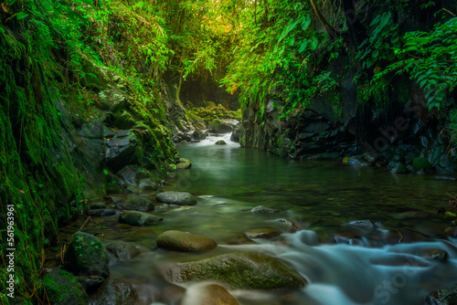indonesian landscape in the morning with a waterfall inside a beautiful tropical forest © RahmadHimawan