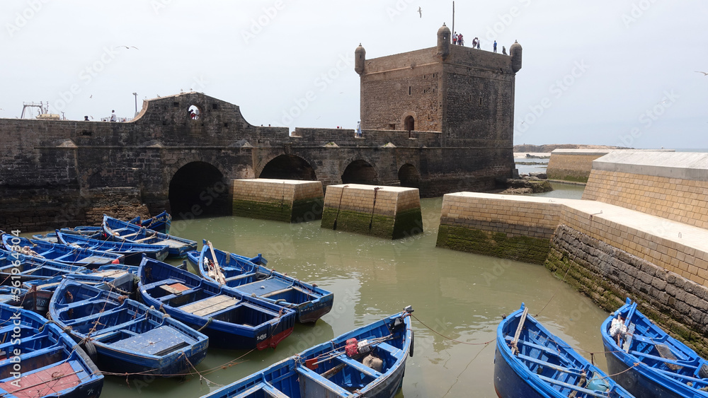 tyraditional blus fishing boats moored in Essaouira, Morocco.  Ready to fish