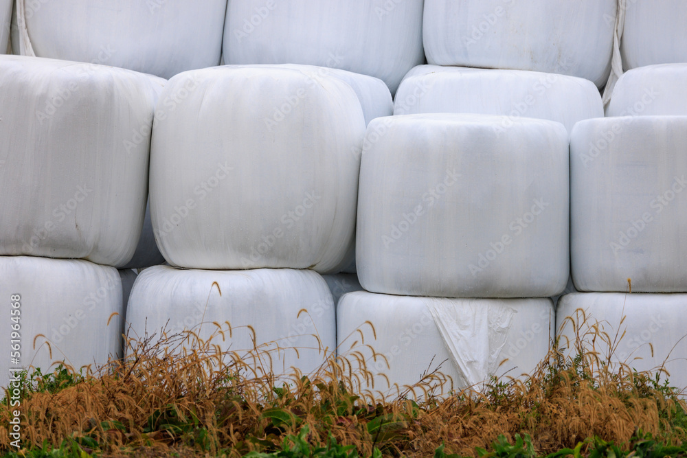 Hay Bales Wrapped in Plastic and Stacked for Outdoor Storage at Farm Hay Bales Wrapped in Plastic and Stacked for Outdoor Storage at Farm