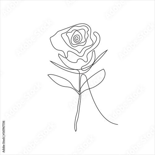 Hand drawing one line art rose flower vector illustration