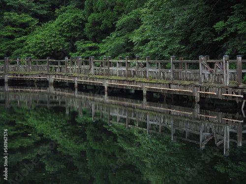 山奥の池と朽ちかけた木道