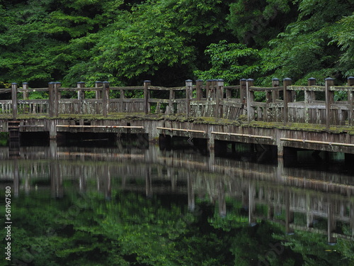 山奥の池と朽ちかけた木道
