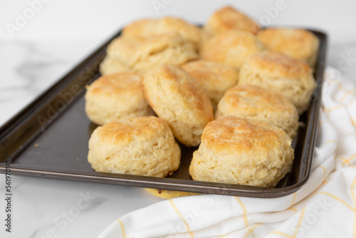 Freshly Baked Homemade Buttermilk Biscuits