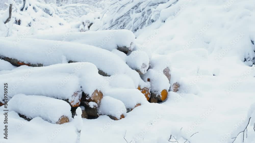 Thick snow on the rocks in the forest ground during the winter season in Estonia Thick snow on the rocks in the forest ground during the winter season in Estonia