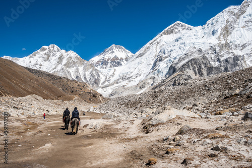Tourist riding a horse to Everest Base Camp in Nepal. Everest Base Camp Trek is undoubtedly the adventure of a lifetime and one of Nepal's best trekking destination.
