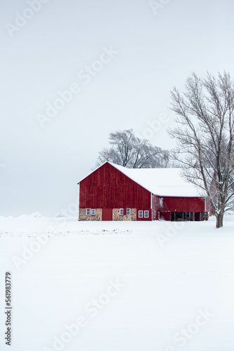 Wisconsin red barn and trees covered in a December snow © mtatman