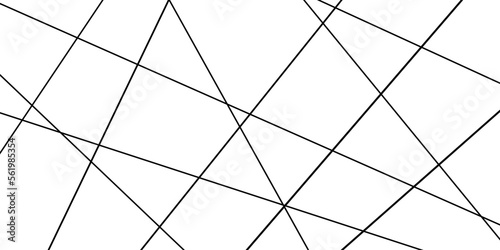 Abstract lines in black and white tone of many squares and rectangle shapes on white background. Metal grid isolated on the white background. nervures de Feuillet mores, fond rectangle and geometric.	