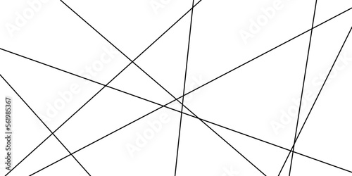 Abstract lines in black and white tone of many squares and rectangle shapes on white background. Metal grid isolated on the white background. nervures de Feuillet mores, fond rectangle and geometric.	