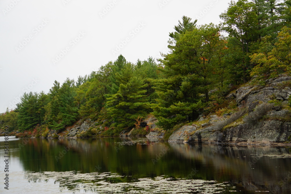River in the Forest, Muskokas, Ontario, Landscape