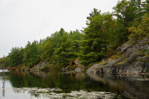 Fototapeta Naklejka Na Ścianę i Meble -  River in the Forest, Muskokas, Ontario, Landscape