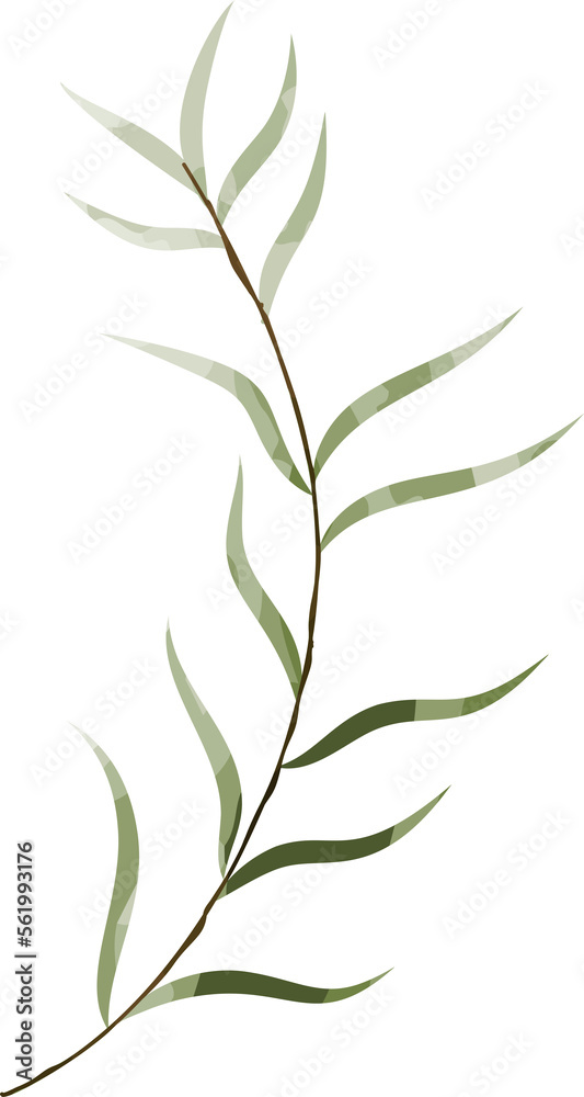 Fototapeta premium Watercolor botanical leaf branch