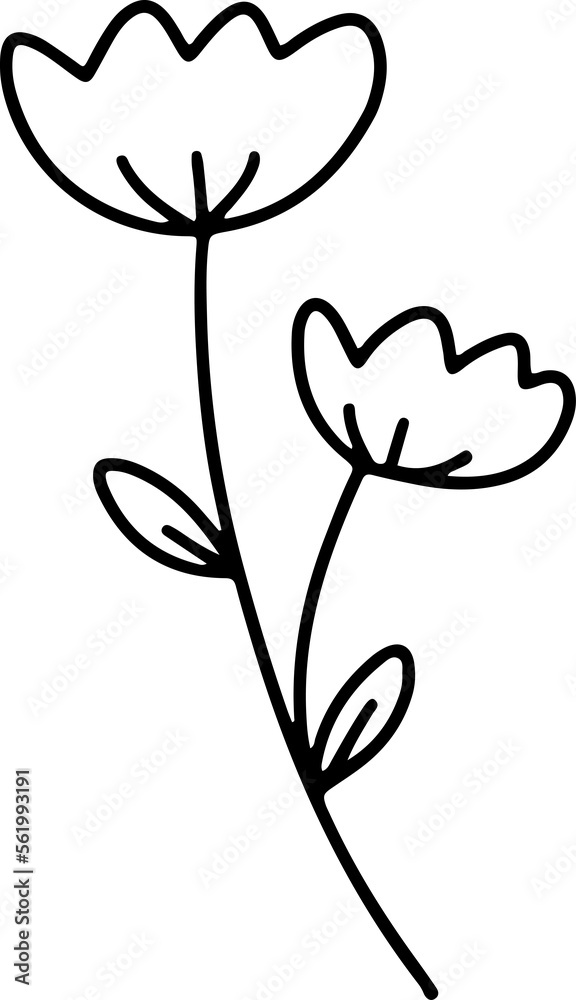 flower cartoon doodle Hand drawn clipart png illustrations	