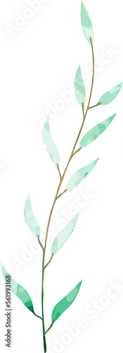Watercolor botanical leaf branch