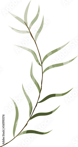 Watercolor botanical leaf branch