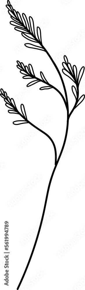 Obraz premium Botanical leaf branch line art