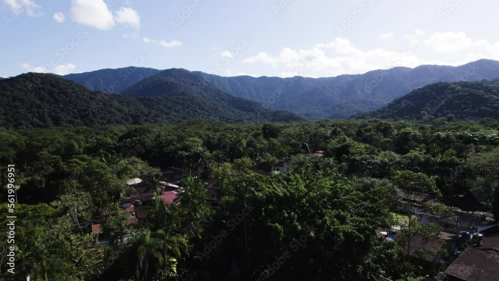 Drone flyin up revealing a beautifull Atlantic forest in Brazil. Drone flyin up revealing a beautifull Atlantic forest in Brazil.