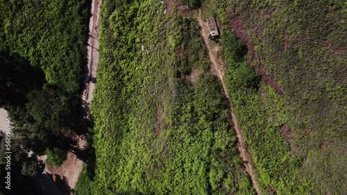 Drone goes up fast, zenital camera showing dirt roads in the middle of a Atlantic rainforest photo
