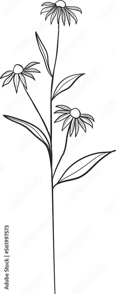 Naklejka premium Botanical floral leaf branch line art