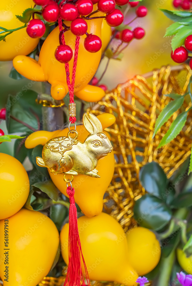 Lucky rabbit knot hanging on Kumquat for Chinese new year greeting,means:good bless for new year,2023 is year of the rabbit