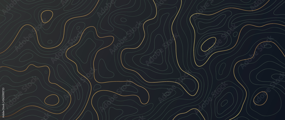 Luxury gold abstract line art background vector. Mountain topographic terrain map background with gold lines texture. Design illustration for wall art, fabric, packaging, web, banner, app, wallpaper.