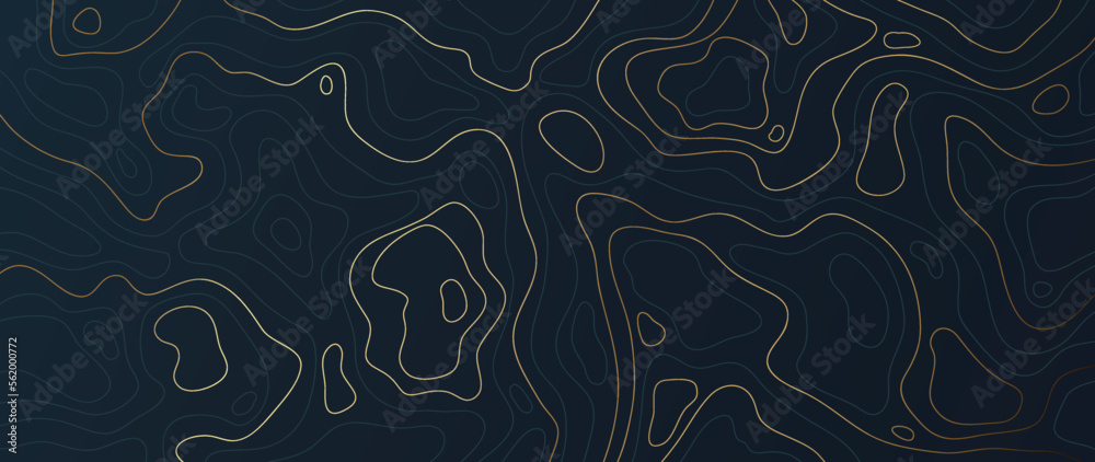 Fototapeta premium Luxury gold abstract line art background vector. Mountain topographic terrain map background with gold lines texture. Design illustration for wall art, fabric, packaging, web, banner, app, wallpaper.