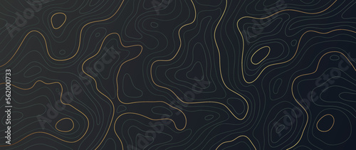 Luxury gold abstract line art background vector. Mountain topographic terrain map background with gold lines texture. Design illustration for wall art, fabric, packaging, web, banner, app, wallpaper.