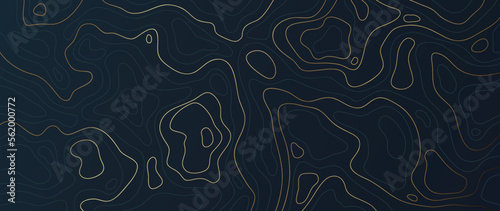 Luxury gold abstract line art background vector. Mountain topographic terrain map background with gold lines texture. Design illustration for wall art, fabric, packaging, web, banner, app, wallpaper.
