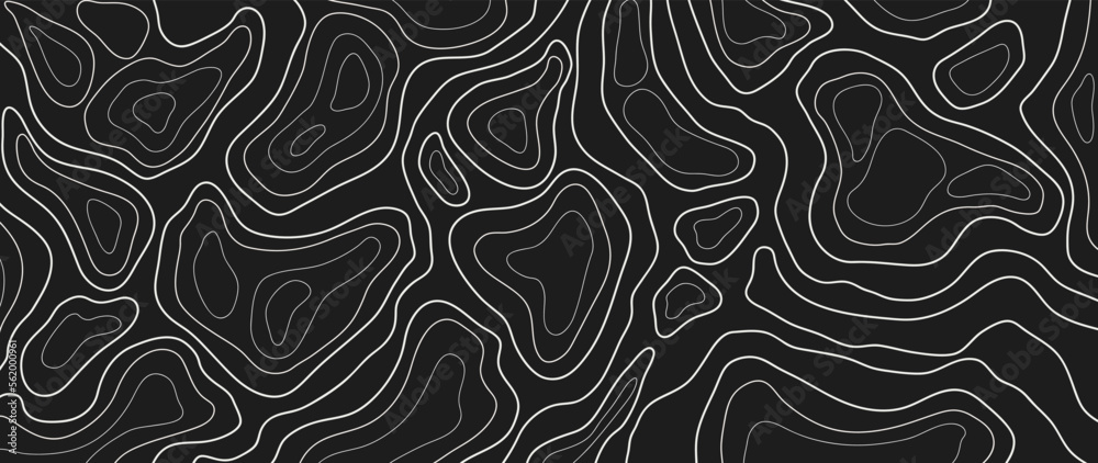 Abstract line art background vector. Mountain topographic terrain map background with white shape lines texture. Design illustration for wall art, fabric, packaging, web, banner, app, wallpaper.