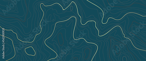 Luxury gold abstract line art background vector. Mountain topographic terrain map background with gold lines texture. Design illustration for wall art, fabric, packaging, web, banner, app, wallpaper.