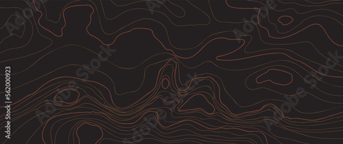 Luxury gold abstract line art background vector. Mountain topographic terrain map background with gold lines texture. Design illustration for wall art, fabric, packaging, web, banner, app, wallpaper.