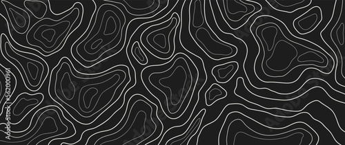 Abstract line art background vector. Mountain topographic terrain map background with white shape lines texture. Design illustration for wall art  fabric  packaging  web  banner  app  wallpaper.