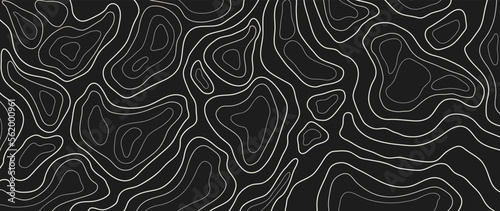 Abstract line art background vector. Mountain topographic terrain map background with white shape lines texture. Design illustration for wall art, fabric, packaging, web, banner, app, wallpaper.