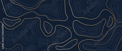 Luxury gold abstract line art background vector. Mountain topographic terrain map background with gold lines texture. Design illustration for wall art, fabric, packaging, web, banner, app, wallpaper.