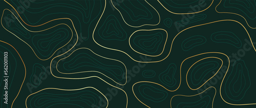 Luxury gold abstract line art background vector. Mountain topographic terrain map background with gold lines texture. Design illustration for wall art, fabric, packaging, web, banner, app, wallpaper.
