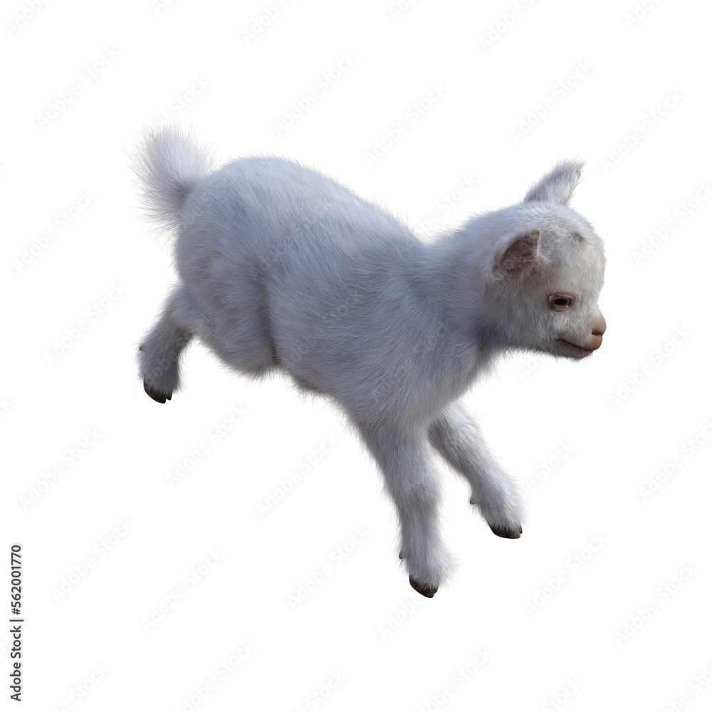Goat baby character on transparent background. 3d rendering illustration for collage, clipart, composting, pose #02. Goat baby character on transparent background. 3d rendering illustration for collage, clipart, composting, pose #02.