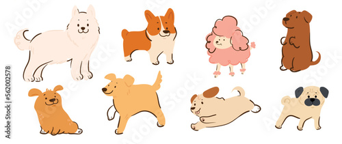 Fototapeta Naklejka Na Ścianę i Meble -  Set of cute dogs vector. Lovely dog and puppy doodle pattern in different poses, breeds, pug, corgi, poodle, samoyed with flat color. Adorable pet characters hand drawn collection on white background.