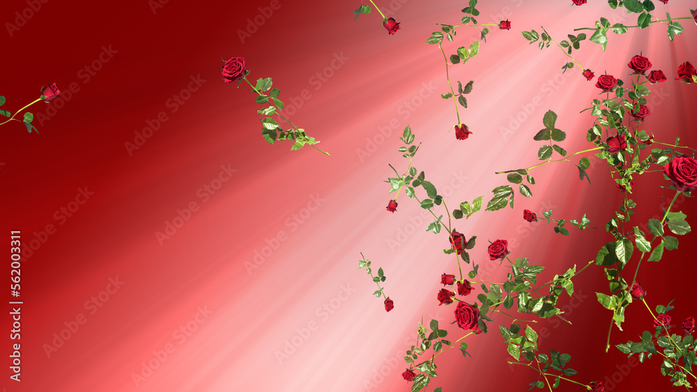 Valentine's Day. Falling red roses on red background with copy space. Also available as an animation - search for 197532285 in Videos.