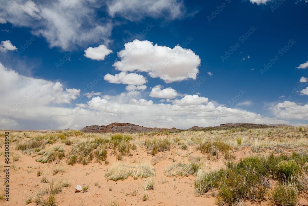 Beautiful landscape of a desert in Arizona. Dry grass and sandstone formations under cloudy blue sky on hot summer day.