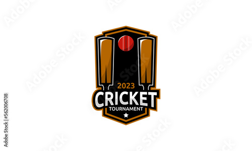 Cricket logo design for championship league symbol