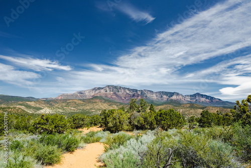 Bilde på lerret Dixie National Forest near Yant Flat sandstone formations in Utah, USA