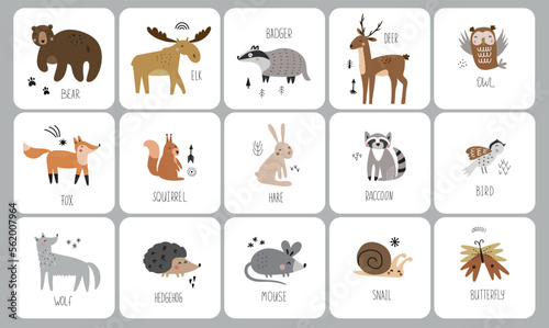 Fototapeta Naklejka Na Ścianę i Meble -  Animals cards for kids. Educational preschool cards for learning animals. Learn animal name for kids.