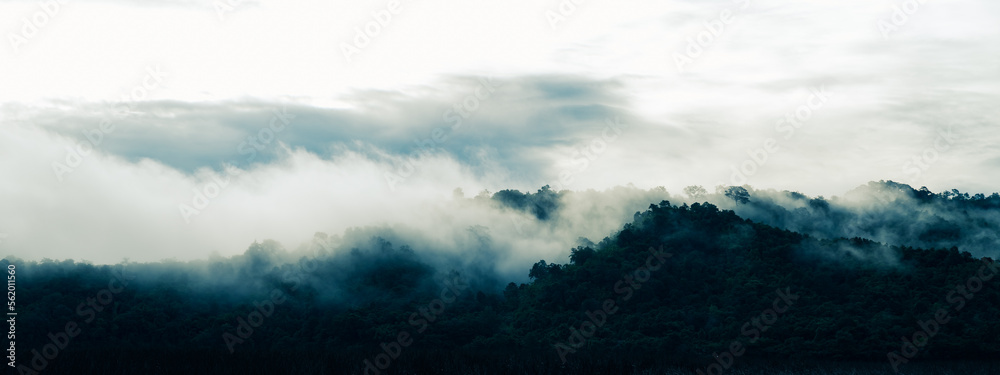 Obraz premium morning summer of nature mountain landscape in happy lifestyle of freedom and relax with cloud fog on sky, adventure travel journey vacation with sunrise or sunset over beautiful mist forest
